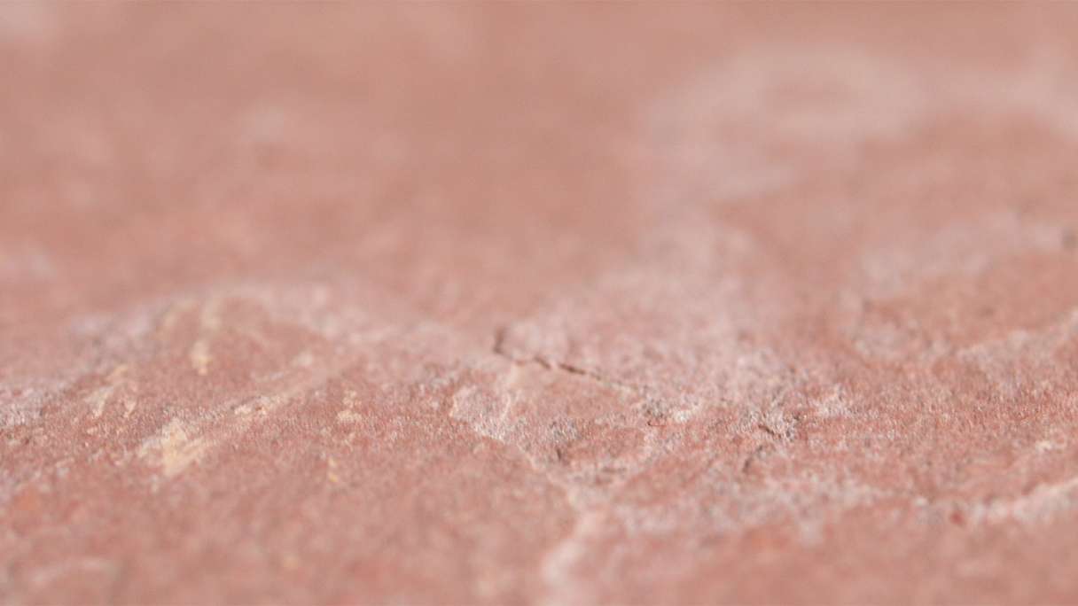 planeo EVOLITH Slate&Stone - Naturstein Wandverkleidung Ross Clay 1220 x 610 mm
