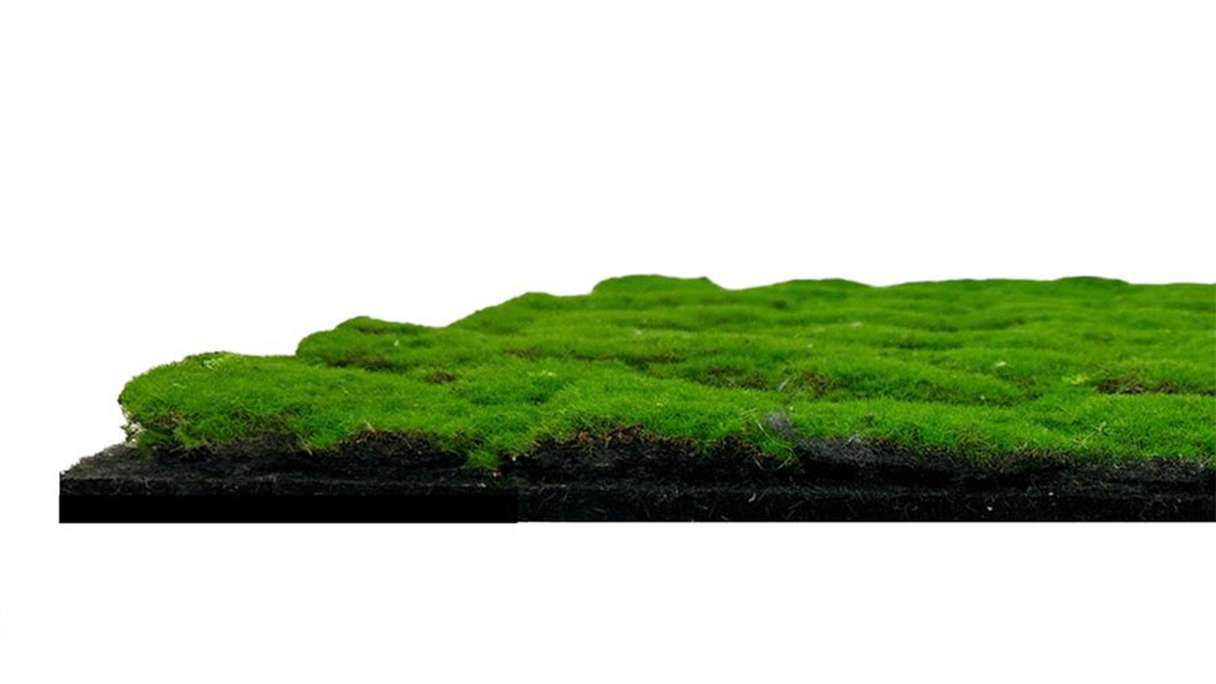 planeo Akustikpaneel - MixWall Moss Mood Forest Green 52 x 52 cm | Kunst-Moos (PLMW-30121A)