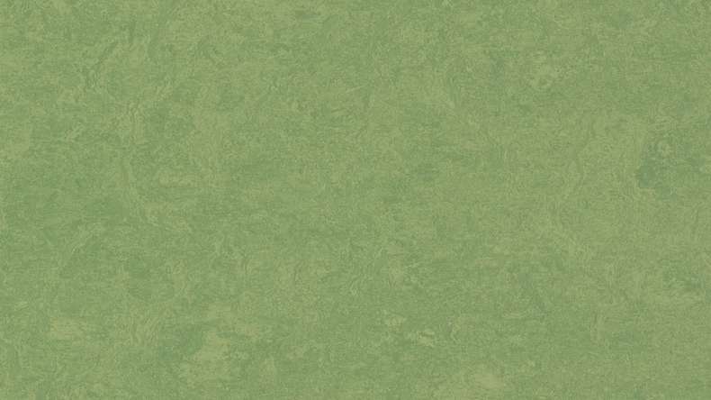 Forbo Linoleum Marmoleum Fresco - leaf 3260-2.5