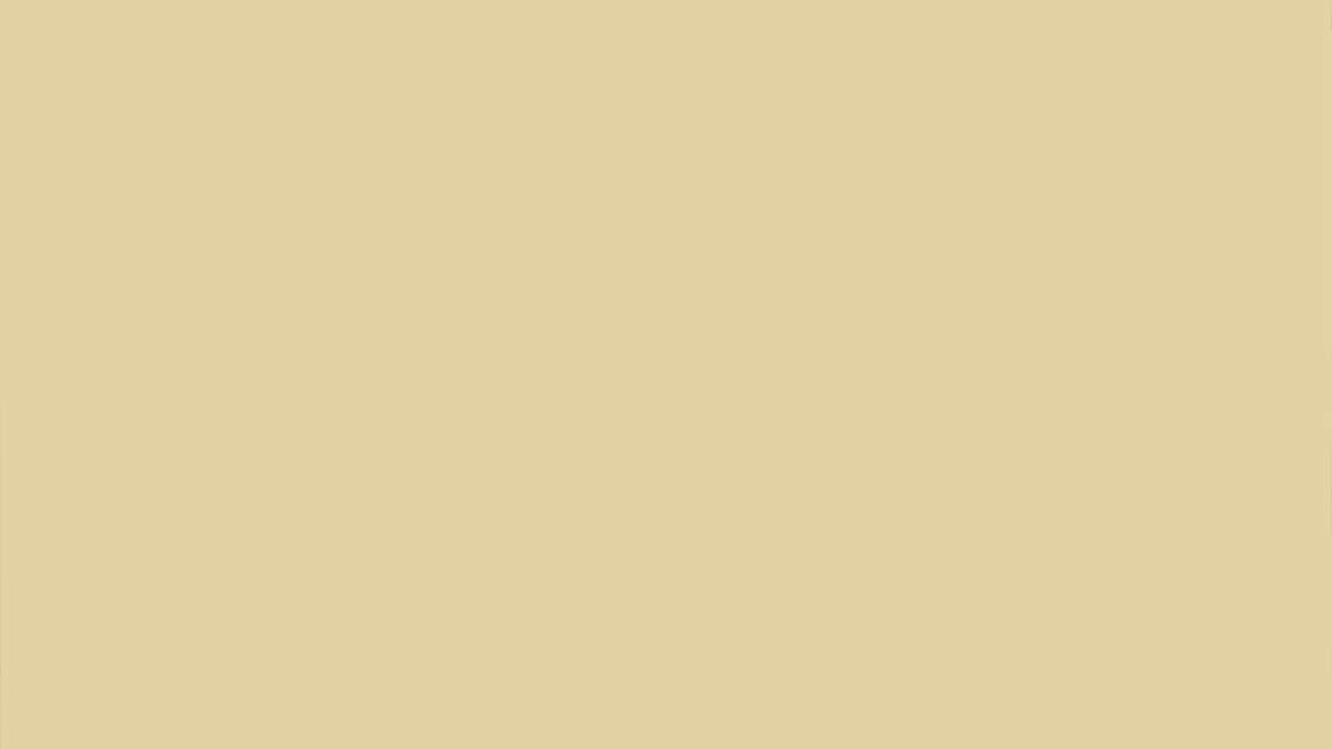 planeo tones - Tambourine 2,5l