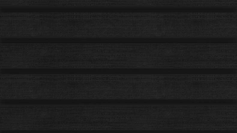 planeo LINEA Wide - WPC CoEx Fassadenverkleidung Schwarz 2900 x 181 mm