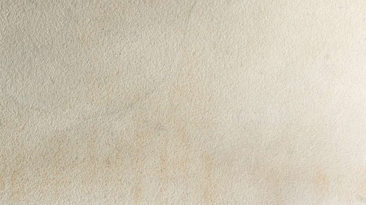 planeo EVOLITH Slate&Stone - Naturstein Wandverkleidung White Core 1220 x 610 mm