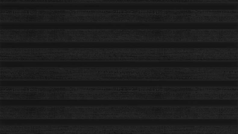 planeo LINEA Slim - WPC CoEx Fassadenverkleidung Schwarz 2900 x 215 mm