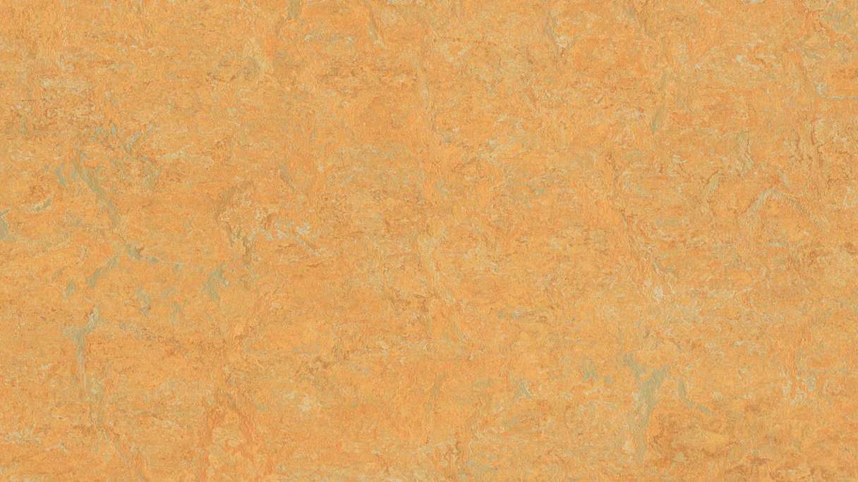 Forbo Linoleum Marmoleum Real - golden saffron 3847 - 2mm