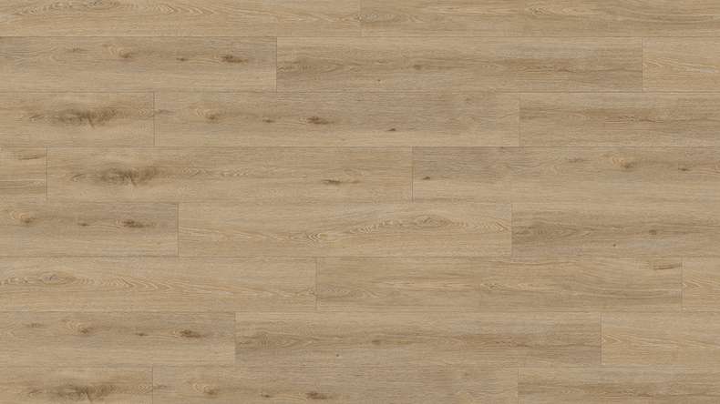 Gerflor Klick Vinyl Rigid - Creation 55 Clic Aquinoah Nature | Authentisches Erscheinungsbild (60661707)