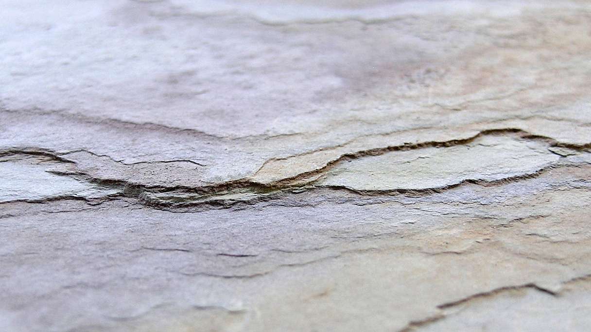 planeo EVOLITH Slate&Stone - Naturstein Wandverkleidung Autumn Drift 1220 x 610 mm