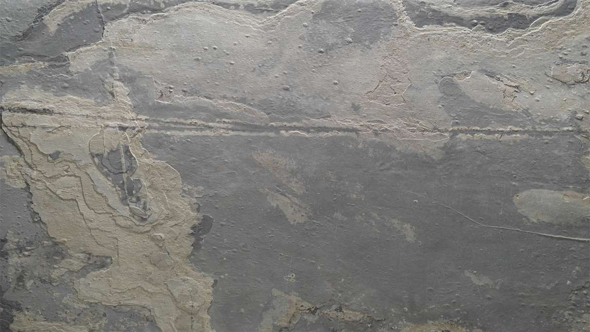 planeo EVOLITH EasyFix - Naturstein Wandverkleidung Terracrust 600 x 300 mm - 6Stk.