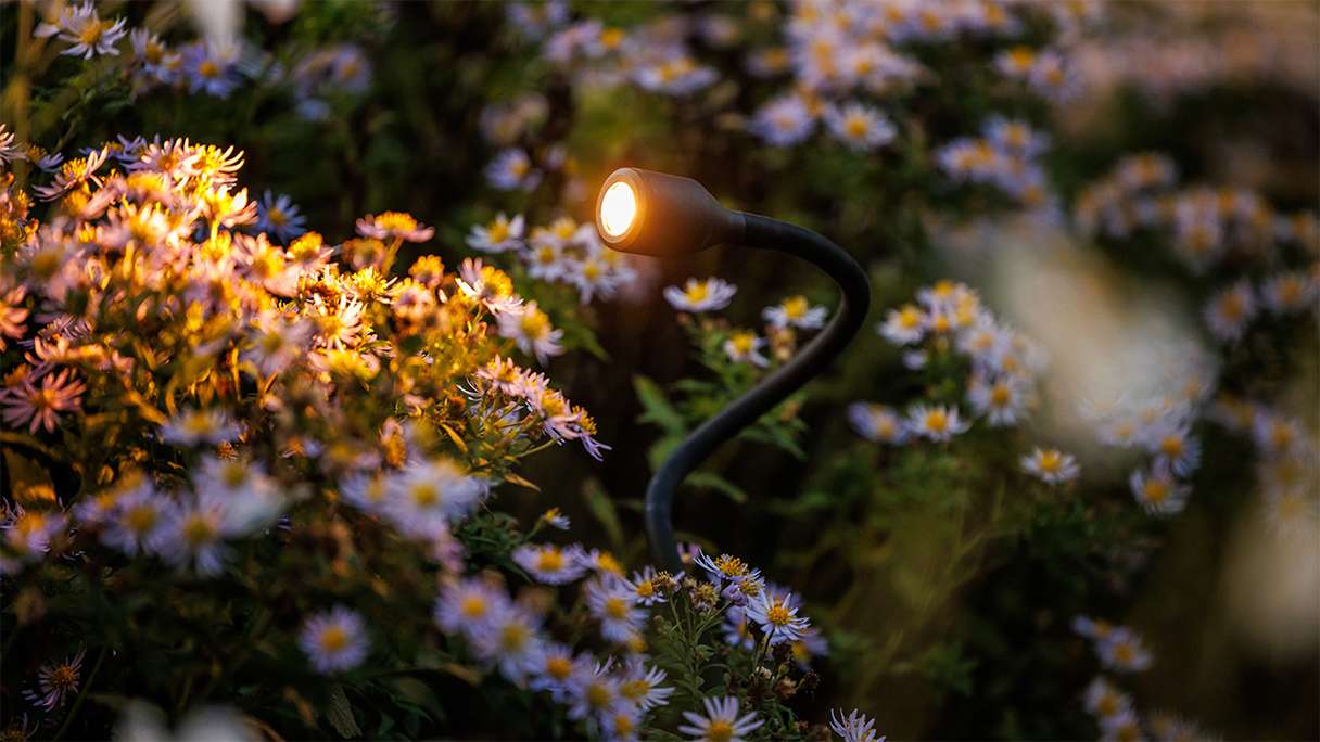 planeo Gartenbeleuchtung 12V - LED-Strahler/Wandleuchte Xible - 2W 160 Lumen