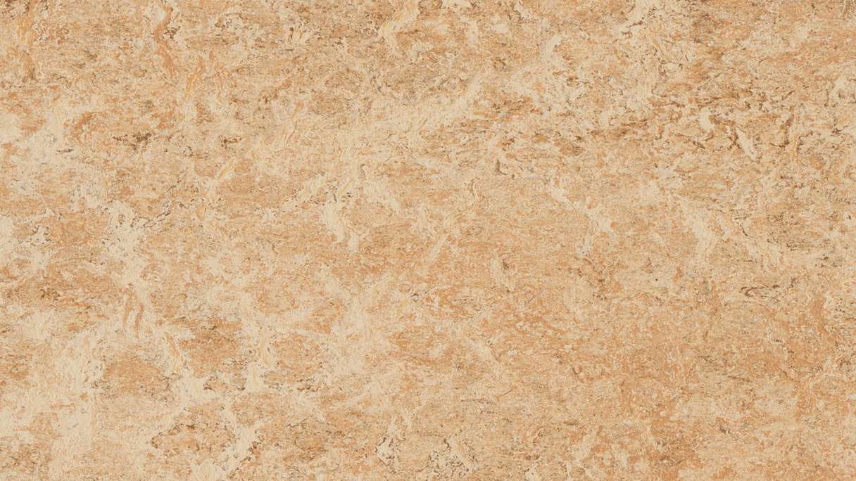 Forbo Linoleum Marmoleum Real - shell 3075 - 2.5mm