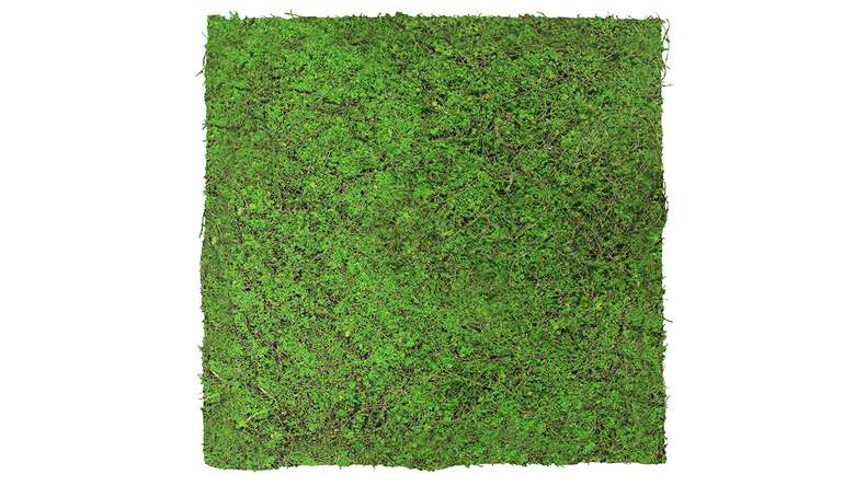 planeo Akustikpaneel - MixWall Living Leaf Forest Green Ancient Tree 52 x 52 cm | Naturpflanze (PLMW-70111)