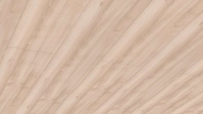 Meister Paneele - Bocado 250 2,05m Buche pure (300007-2050250-04094 - 4811204094)