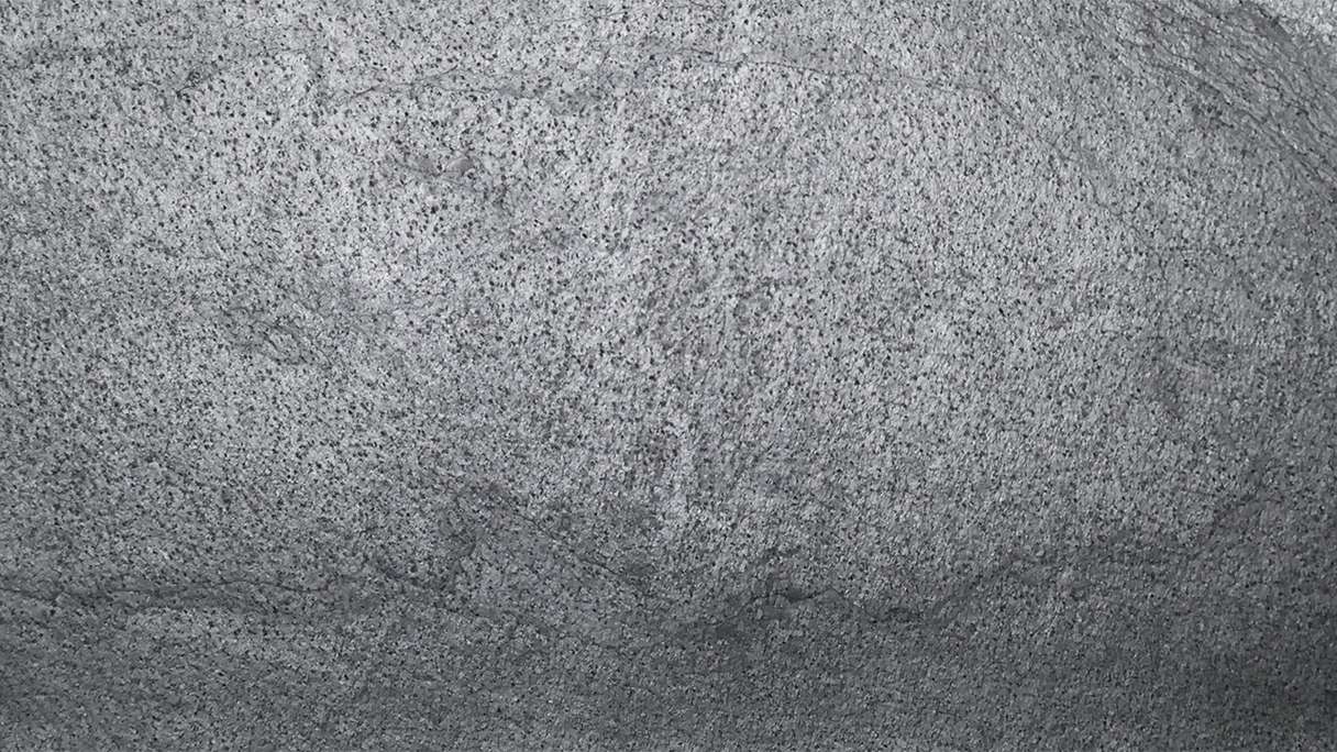 planeo EVOLITH Slate&Stone - Naturstein Wandverkleidung Urban Grey 1220 x 610 mm
