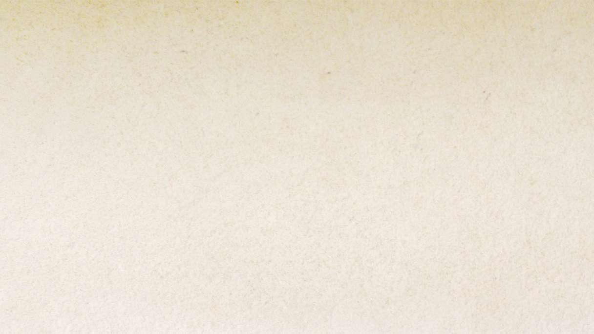 planeo EVOLITH Slate&Stone - Naturstein Wandverkleidung White Core 1220 x 610 mm