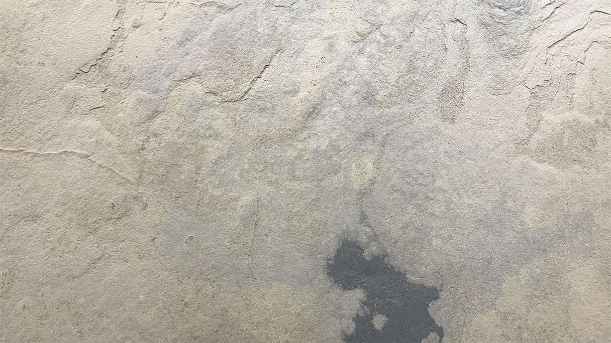 planeo EVOLITH Slate&Stone - Naturstein Wandverkleidung Siena Dust 1220 x 610 mm