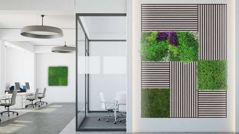 planeo Akustikpaneel - MixWall Living Leaf Thuja Tea Tree 52 x 52 cm | Naturpflanze (PLMW-50111)