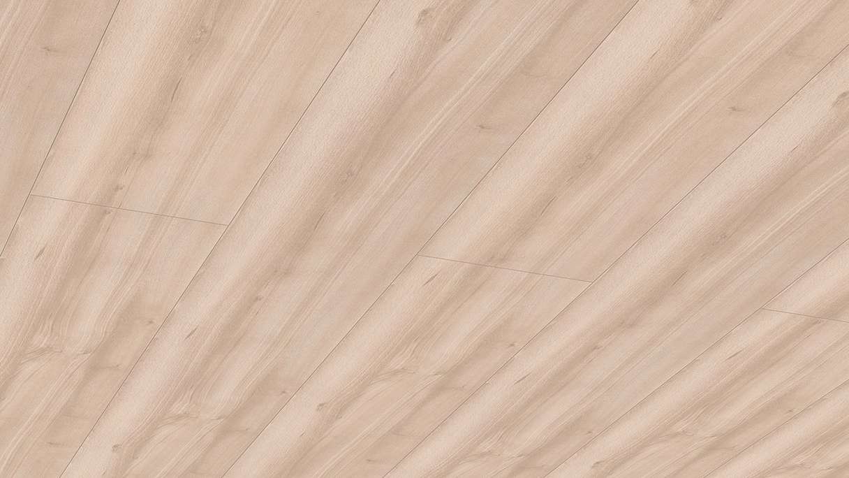 Meister Paneele - Bocado 250 2,05m Buche pure (300007-2050250-04094 - 4811204094)