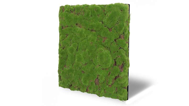 planeo Akustikpaneel - MixWall Moss Mood Forest Green Bulk 52 x 52 cm | Kunst-Moos (PLMW-20211C)