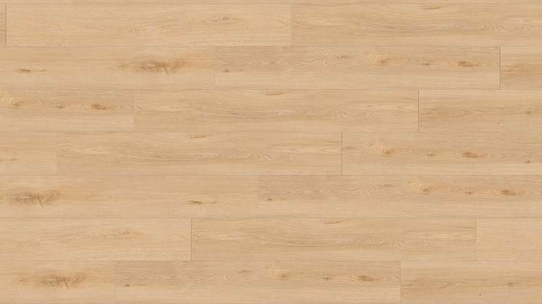 Gerflor Klick Vinyl Rigid - Creation 55 Clic Acoustic Aquinoah Blond | Trittschalldämmung integr. (61241704)