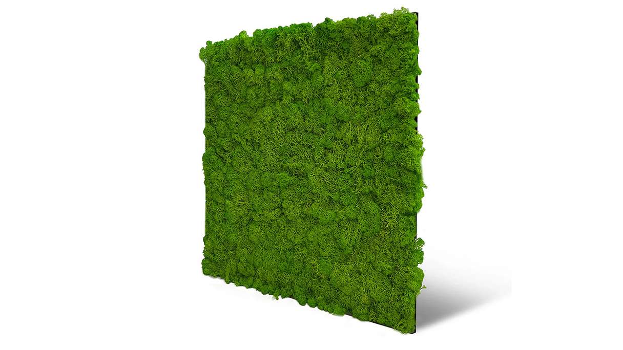 planeo Akustikpaneel - MixWall Living Moss Bright Green 52 x 52 cm | Natur-Moos (PLMW-20111)