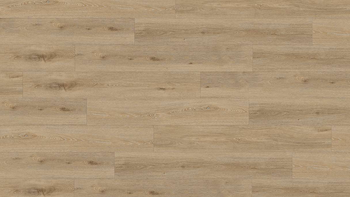 Gerflor Klick Vinyl Rigid - Creation 55 Clic Aquinoah Nature | Authentisches Erscheinungsbild (60661707)