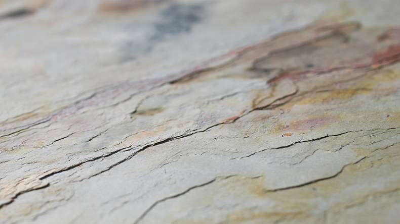 planeo EVOLITH Slate&Stone - Naturstein Wandverkleidung Autumn Drift 1220 x 610 mm