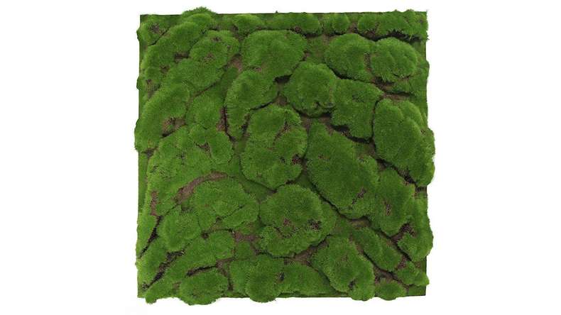 planeo Akustikpaneel - MixWall Moss Mood Forest Green Big Bulk 52 x 52 cm | Kunst-Moos (PLMW-00211C)