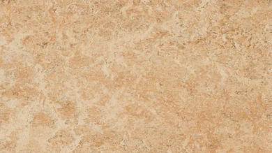 Forbo Linoleum Marmoleum Real - shell 3075 - 2.5mm