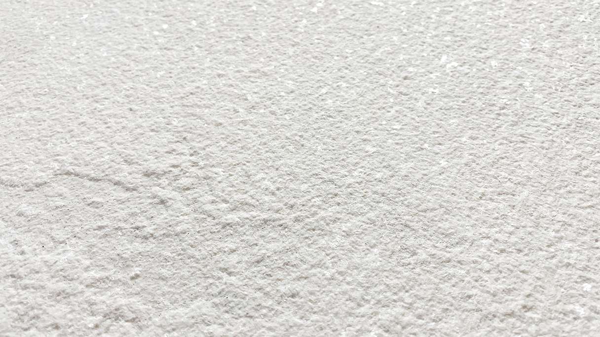 planeo EVOLITH Slate&Stone - Naturstein Wandverkleidung Crystal White 1220 x 610 mm