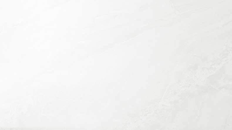planeo StrongWall - Wandverkleidung Kunststoff Evo 65 x 37,5 cm Hochglanz