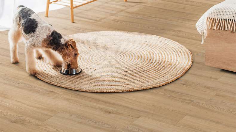 planeo Rigid Klick Vinyl - FlexCore 55 Oyster Oak | Trittschalldämmung integr. (plfc-5220FS55)
