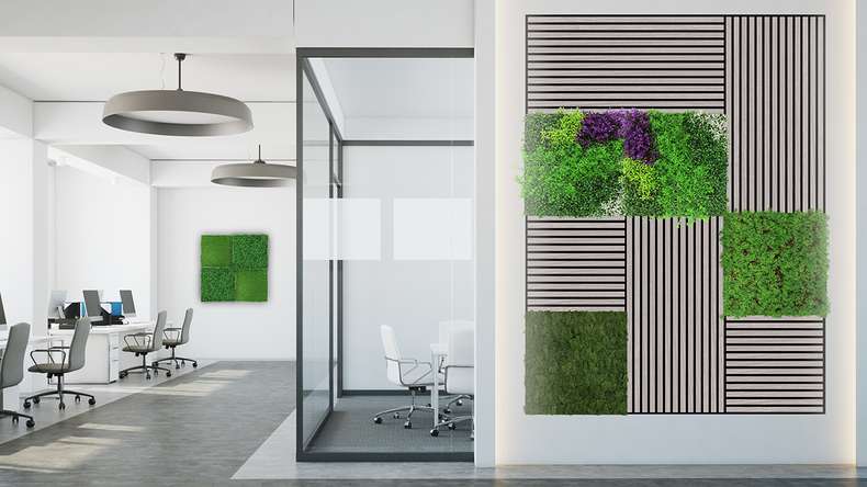 planeo Akustikpaneel - MixWall Timber Solid Althea Oak 52 x 104 cm | Echtholzfurnier (PLMW-10411A)