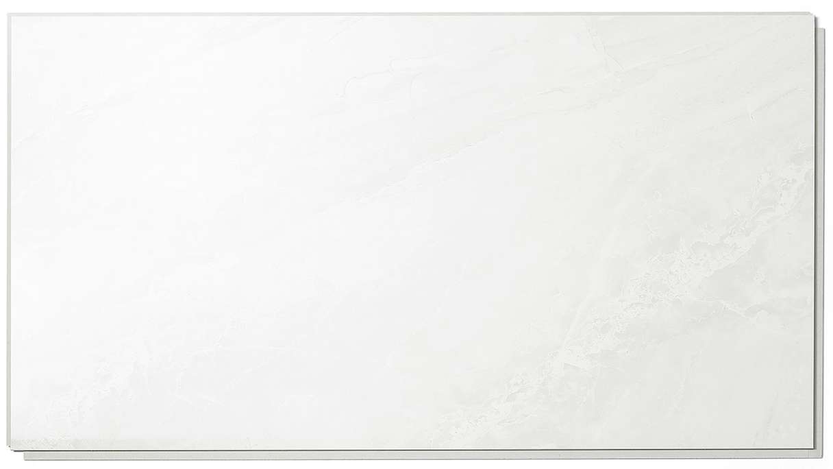 planeo StrongWall - Wandverkleidung Kunststoff Evo 65 x 37,5 cm Hochglanz