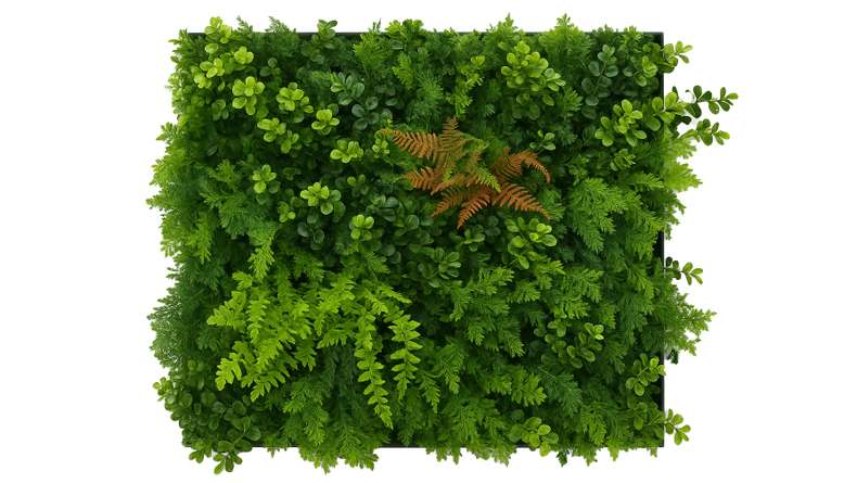 planeo Akustikpaneel - MixWall Leaf Mood Feral Green Mixed Flora 52 x 52 cm | Kunstpflanze (PLMW-20121A)