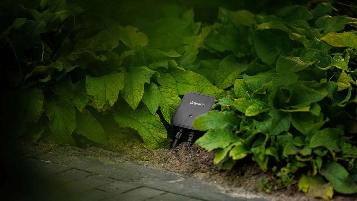 planeo Gartenbeleuchtung Switch Smart WiFi schwarz