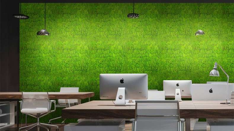 planeo Akustikpaneel - MixWall Living Moss Bright Green 52 x 52 cm | Natur-Moos (PLMW-20111)