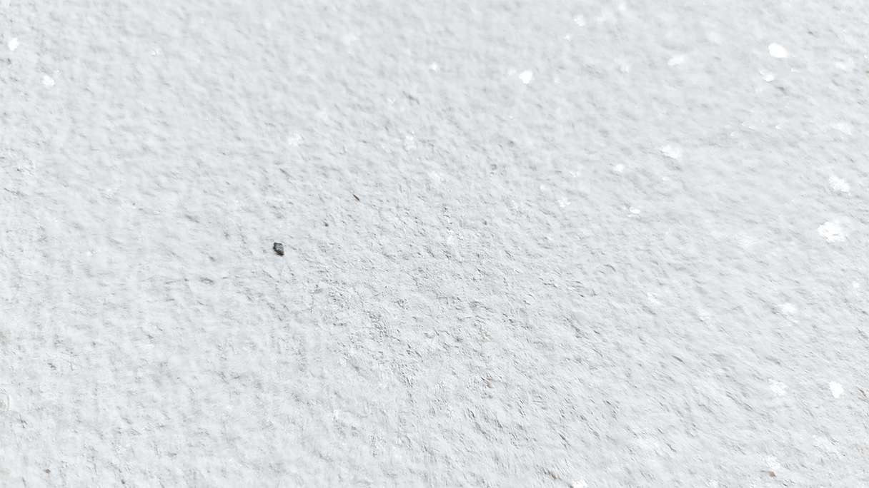 planeo EVOLITH Slate&Stone - Naturstein Wandverkleidung Crystal White 1220 x 610 mm