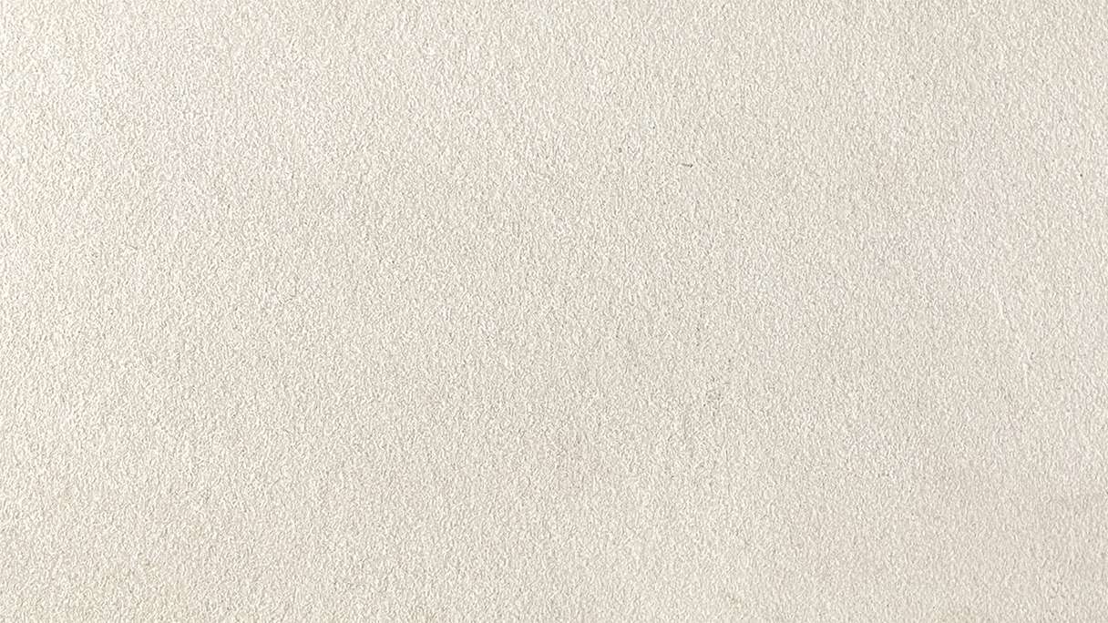 planeo EVOLITH Slate&Stone - Naturstein Wandverkleidung White Core 1220 x 610 mm