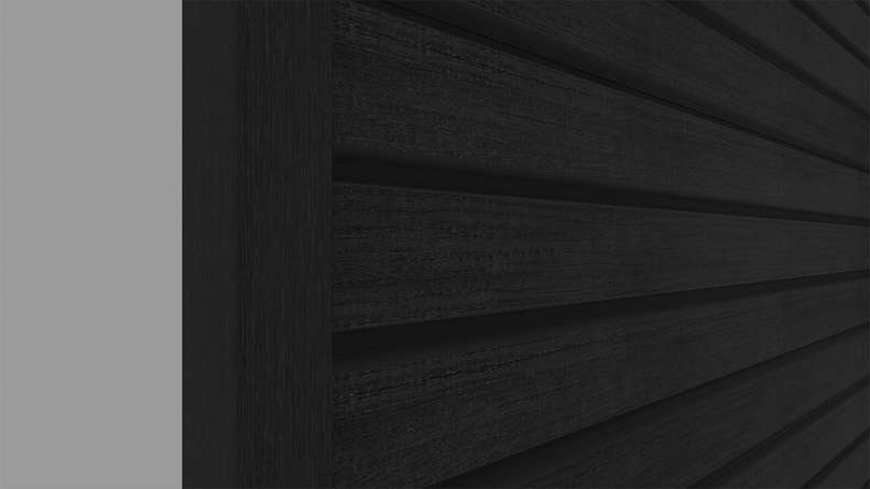 planeo LINEA Wide - WPC CoEx Fassadenverkleidung Schwarz 2900 x 181 mm