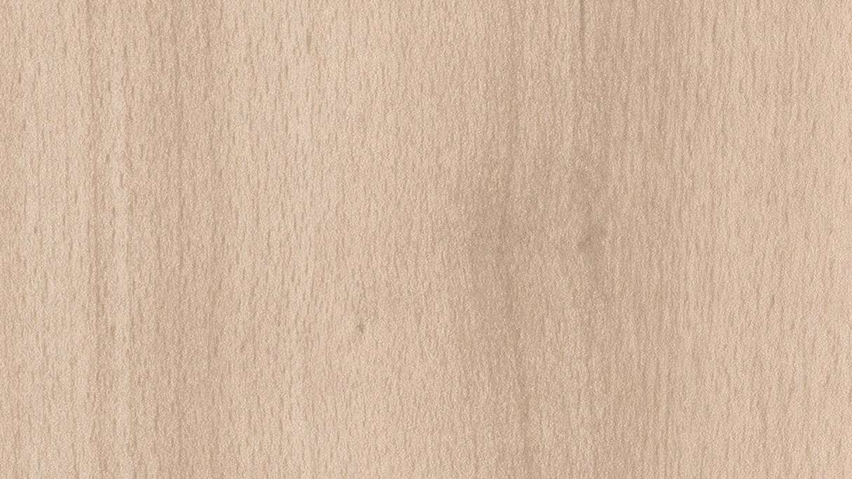 Meister Paneele - Bocado 250 2,05m Buche pure (300007-2050250-04094 - 4811204094)