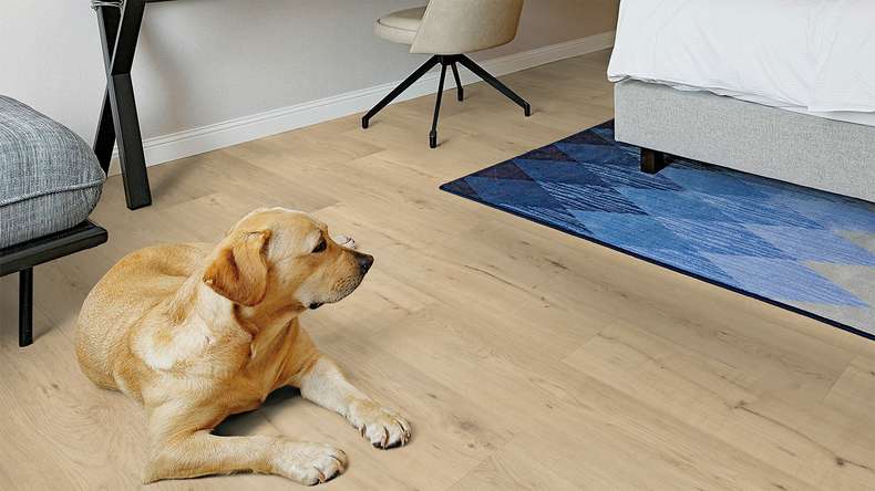 planeo Rigid Klick Vinyl - FlexCore 30 Misty Oak | Trittschalldämmung integr. (plfc-5023FS30)
