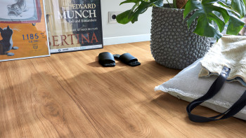 MEISTER Laminat - MeisterDesign LD 200 Teak 07145 | Made in Germany (600004-1288244-07145)