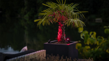 planeo Castor Smart 12V - LED-Zigbee Strahler