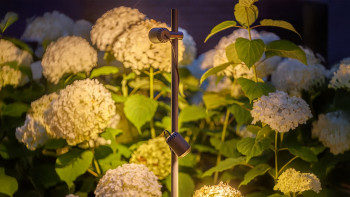 planeo Gartenbeleuchtung 12V - LED-Strahler/Wandleuchte Juno Tube - 4W 372 Lumen