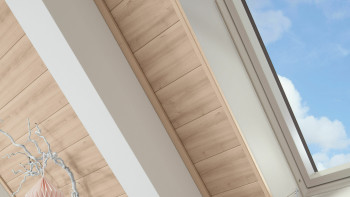 Meister Paneele - Bocado 250 Buche pure 4094