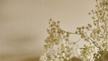 planeo Wandverkleidung SPC - CeraRock Tile Stripes Concrete Cream 120 x 60 cm