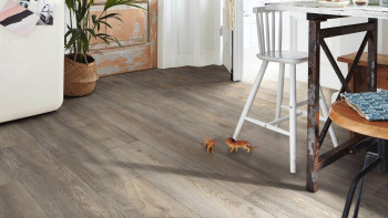 MEISTER Bioboden - MeisterDesign flex DD 400 Wildeiche grau (400007-1290216-06977 - 5933006977)