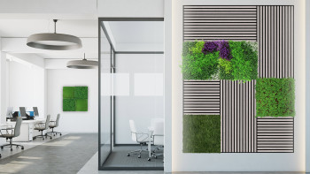 planeo Akustikpaneel - MixWall Living Leaf Thuja Tea Tree 52 x 52 cm | Naturpflanze (PLMW-50111)