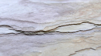 planeo EVOLITH Slate&Stone - Naturstein Wandverkleidung Autumn Drift 1220 x 610 mm