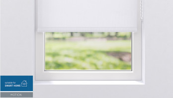 planeo Rollo 25mm TL Screen - Weiss