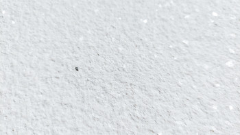 planeo EVOLITH Slate&Stone - Naturstein Wandverkleidung Crystal White 1220 x 610 mm